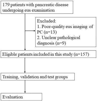 Deep learning for real-time auxiliary diagnosis of pancreatic cancer in endoscopic ultrasonography